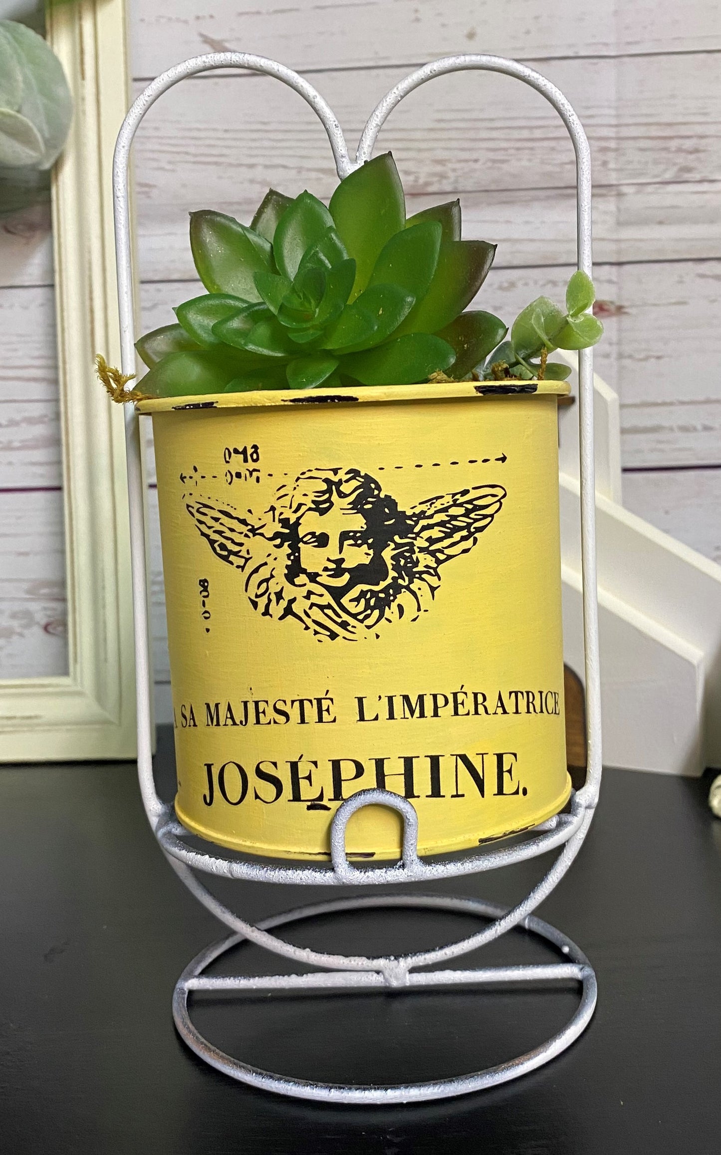 Yellow succulent planter